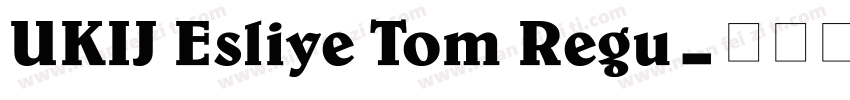 UKIJ Esliye Tom Regu字体转换